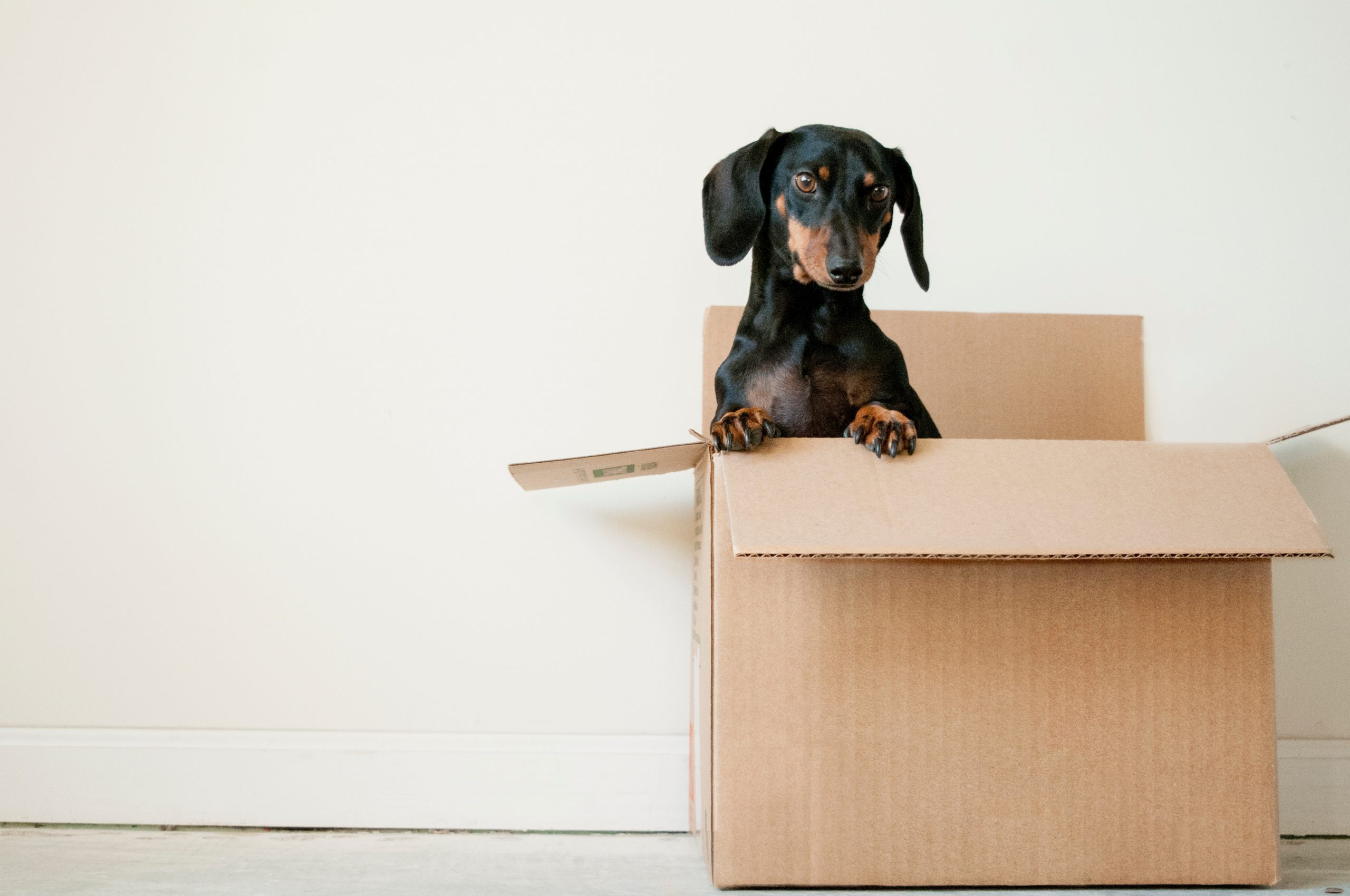 Help to Buy – Paying Back the Government’s Share