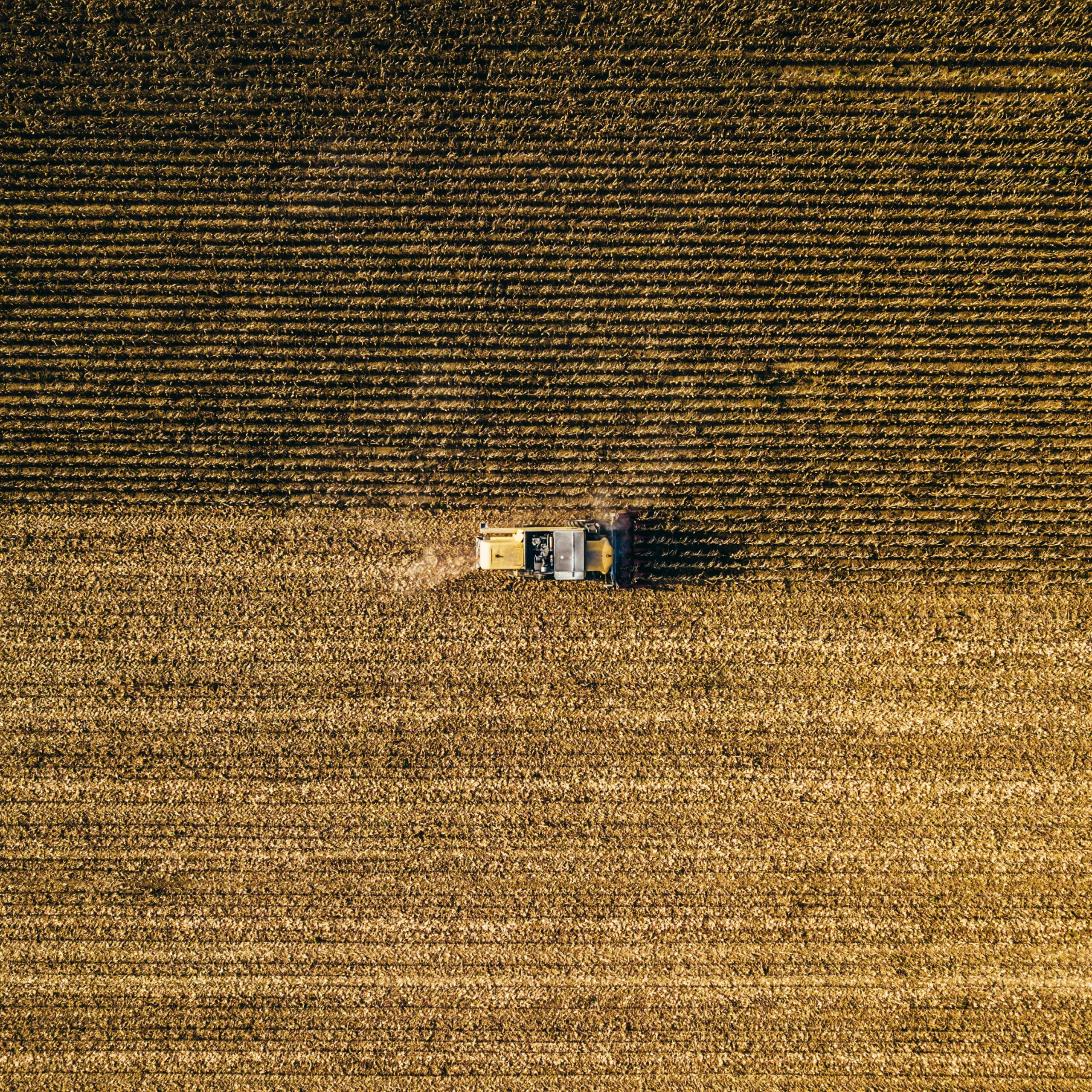 Considering Post-Harvest Options: A Four-Year Crisis Demands Real Change