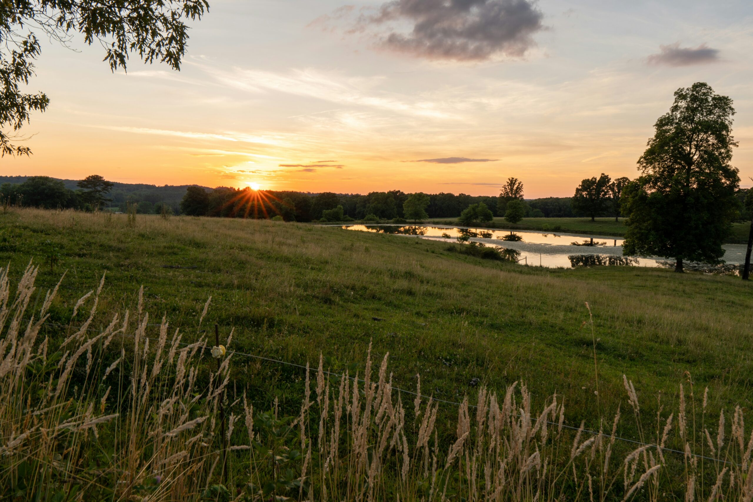 What Happened to British Farming This Week – And Why It Won’t Fix the Real Problem